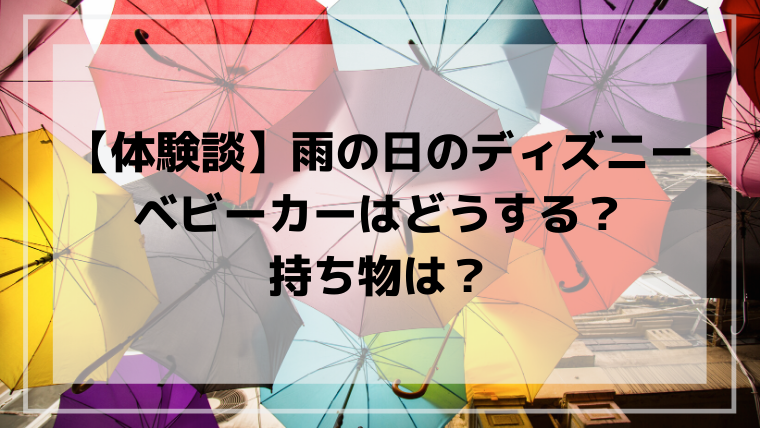 雨の日ディズニー対策 ベビーカーの雨対策や持ち物はどうする ひな吉のわくわくレビューの森